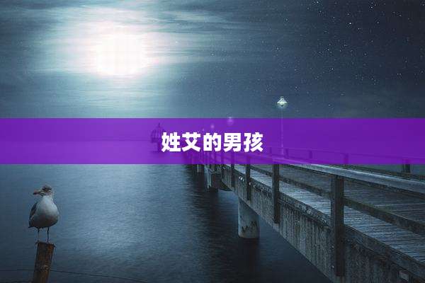 姓艾的男孩