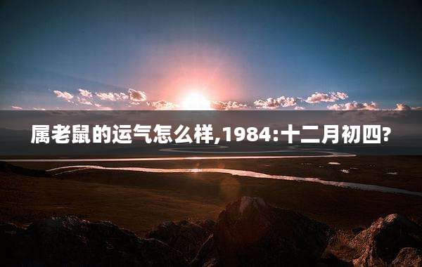 属老鼠的运气怎么样,1984:十二月初四?