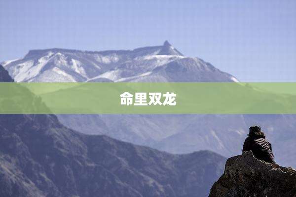 命里双龙