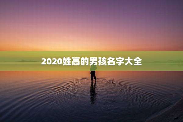 2020姓高的男孩名字大全