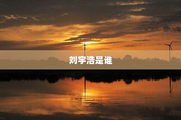 刘宇浩是谁