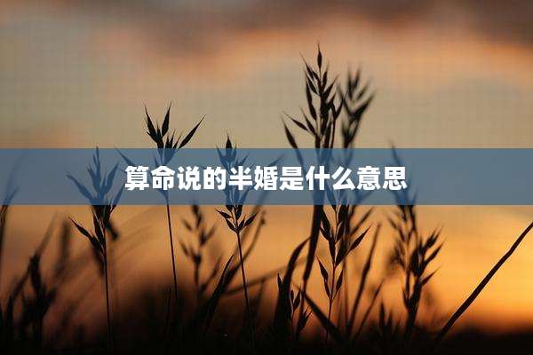 算命说的半婚是什么意思