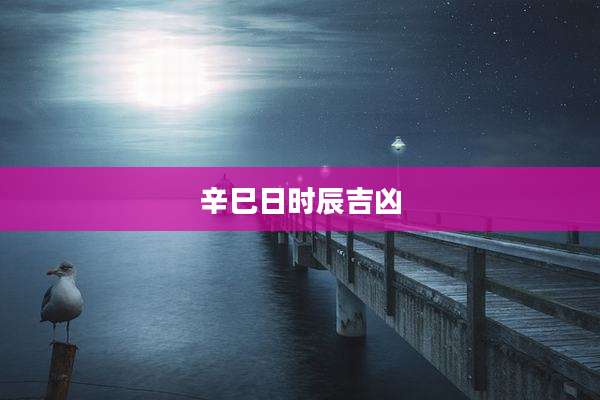 辛巳日时辰吉凶