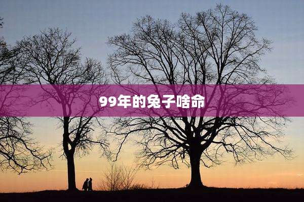 99年的兔子啥命