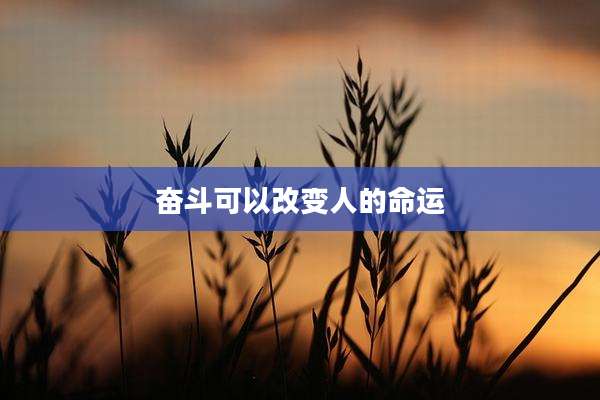 奋斗可以改变人的命运