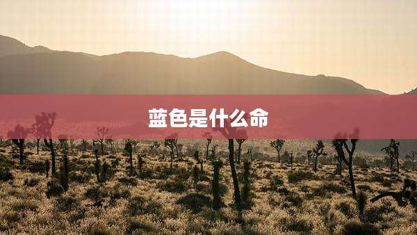 蓝色是什么命