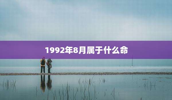 1992年8月属于什么命