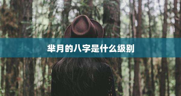 芈月的八字是什么级别