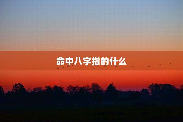 命中八字指的什么
