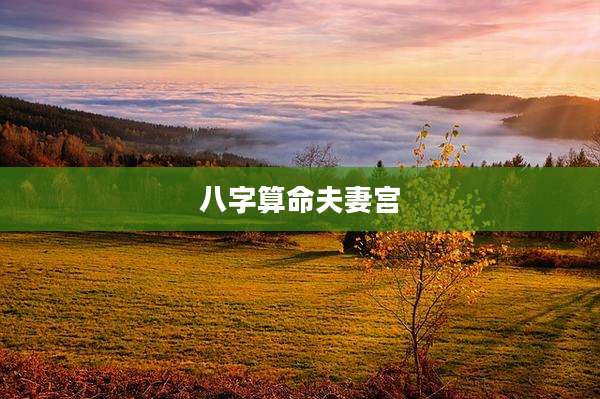 八字算命夫妻宫