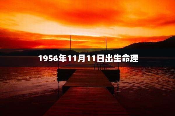 1956年11月11日出生命理