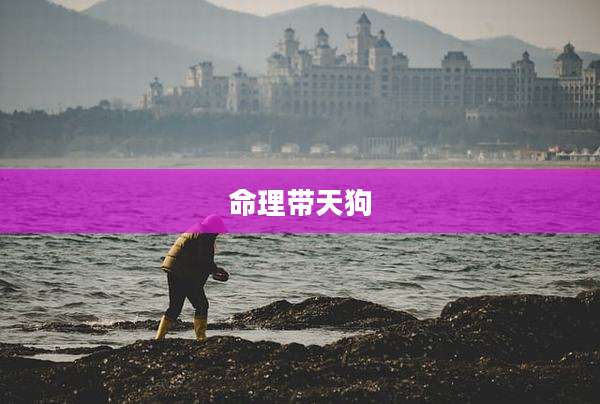 命理带天狗