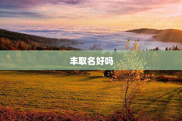 丰取名好吗