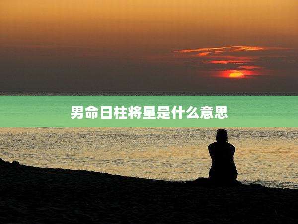 男命日柱将星是什么意思