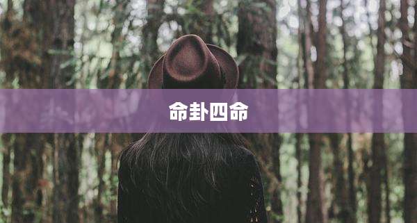 命卦四命