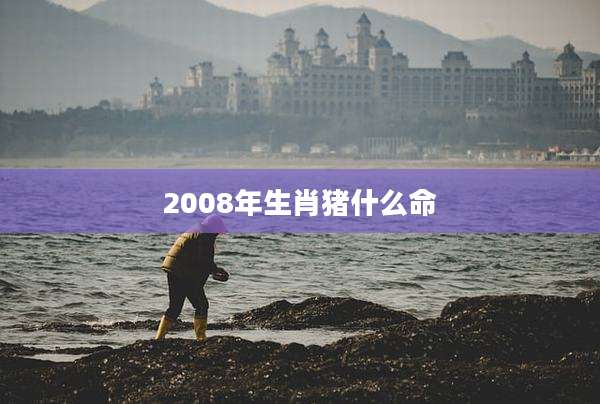 2008年生肖猪什么命