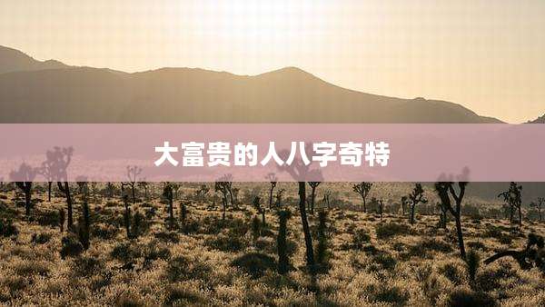 大富贵的人八字奇特
