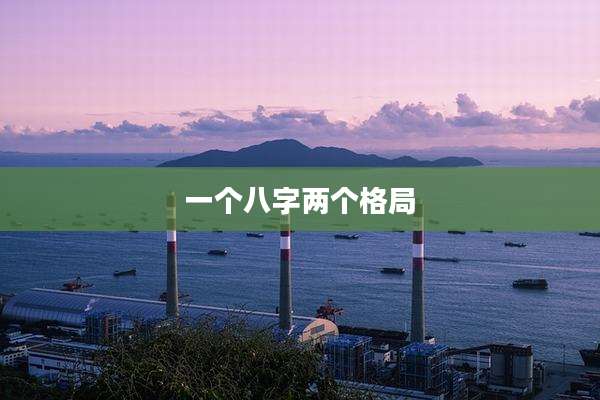 一个八字两个格局