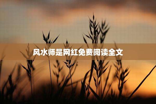 风水师是网红免费阅读全文