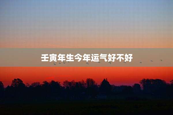 壬寅年生今年运气好不好
