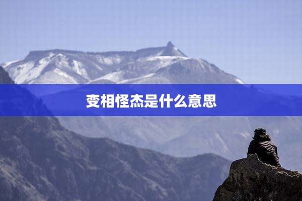 变相怪杰是什么意思