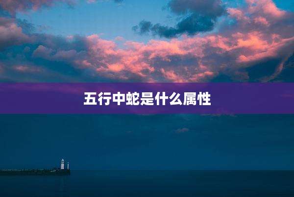 五行中蛇是什么属性
