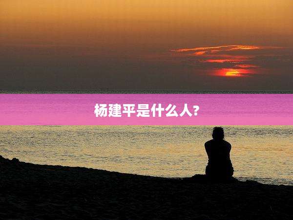 杨建平是什么人?
