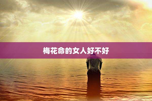 梅花命的女人好不好