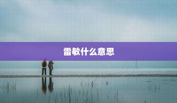 雷敏什么意思