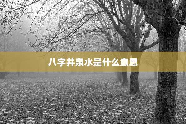 八字井泉水是什么意思