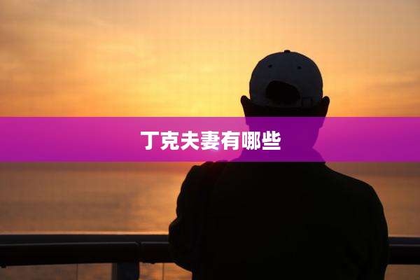 丁克夫妻有哪些