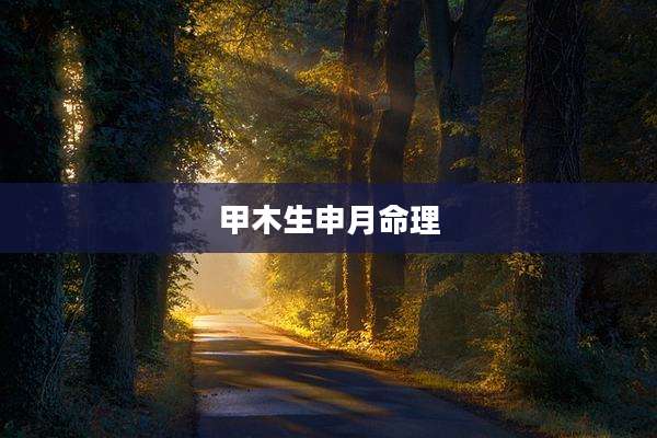 甲木生申月命理