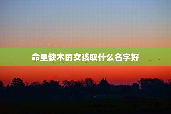 命里缺木的女孩取什么名字好