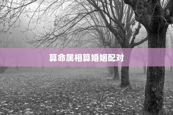 算命属相算婚姻配对