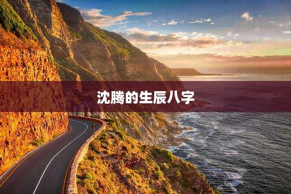 沈腾的生辰八字