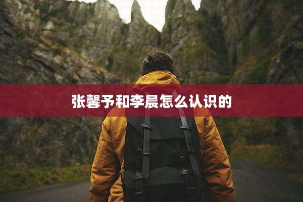 张馨予和李晨怎么认识的