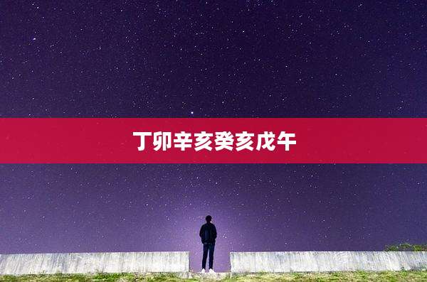丁卯辛亥癸亥戊午