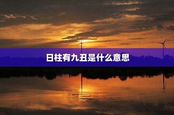 日柱有九丑是什么意思