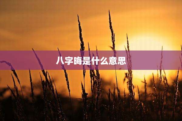 八字晦是什么意思