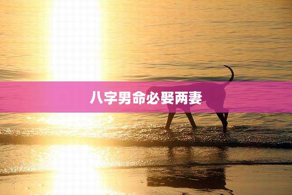 八字男命必娶两妻