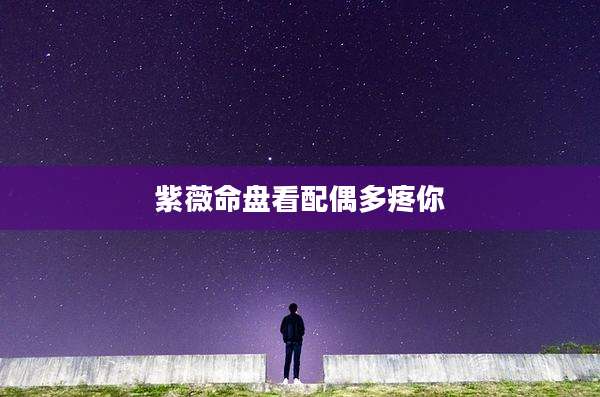 紫薇命盘看配偶多疼你