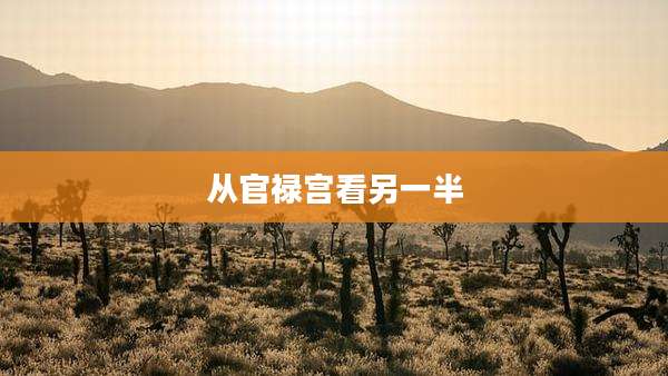 从官禄宫看另一半