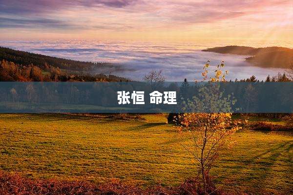 张恒 命理