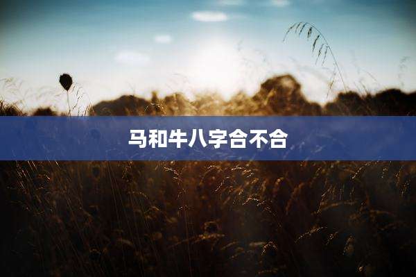 马和牛八字合不合