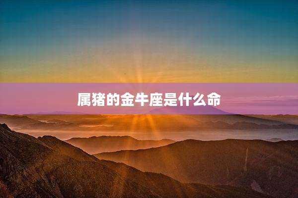 属猪的金牛座是什么命