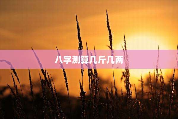 八字测算几斤几两
