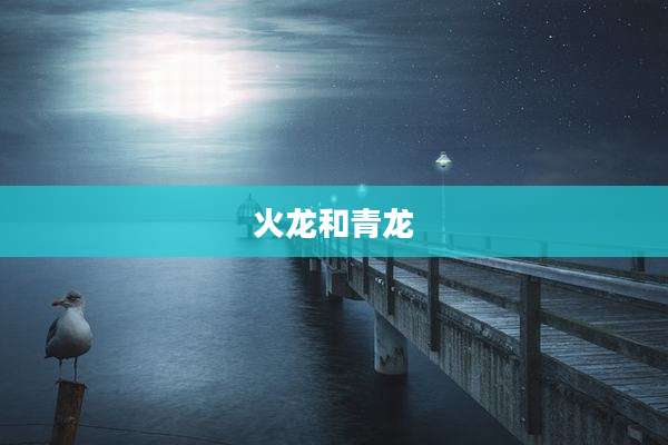 火龙和青龙