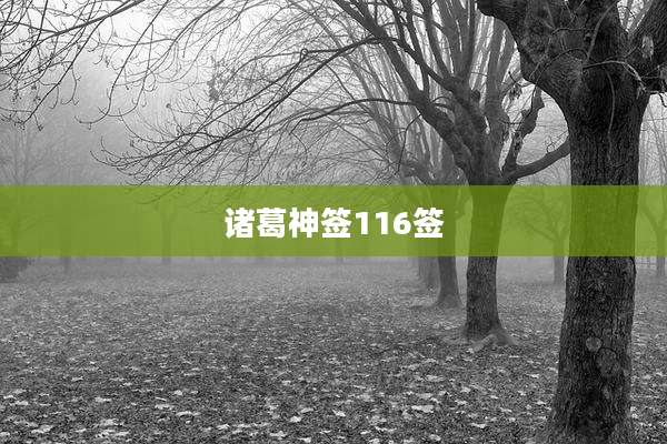 诸葛神签116签
