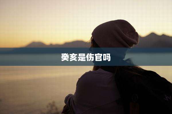 癸亥是伤官吗