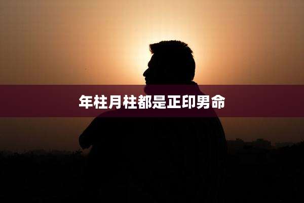 年柱月柱都是正印男命